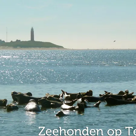 In Netherlands Near The