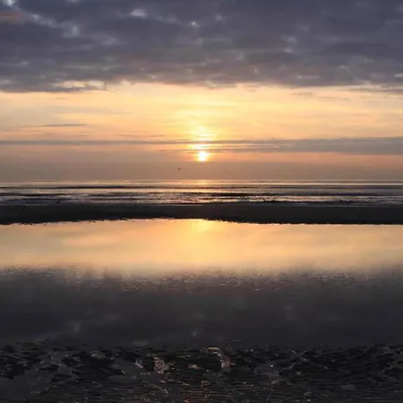In Netherlands Near The * Westermient