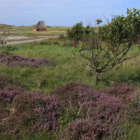 In Netherlands Near The * Westermient